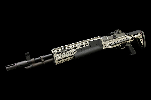 Custom WE GBB EBR LV3 (Titanium color)